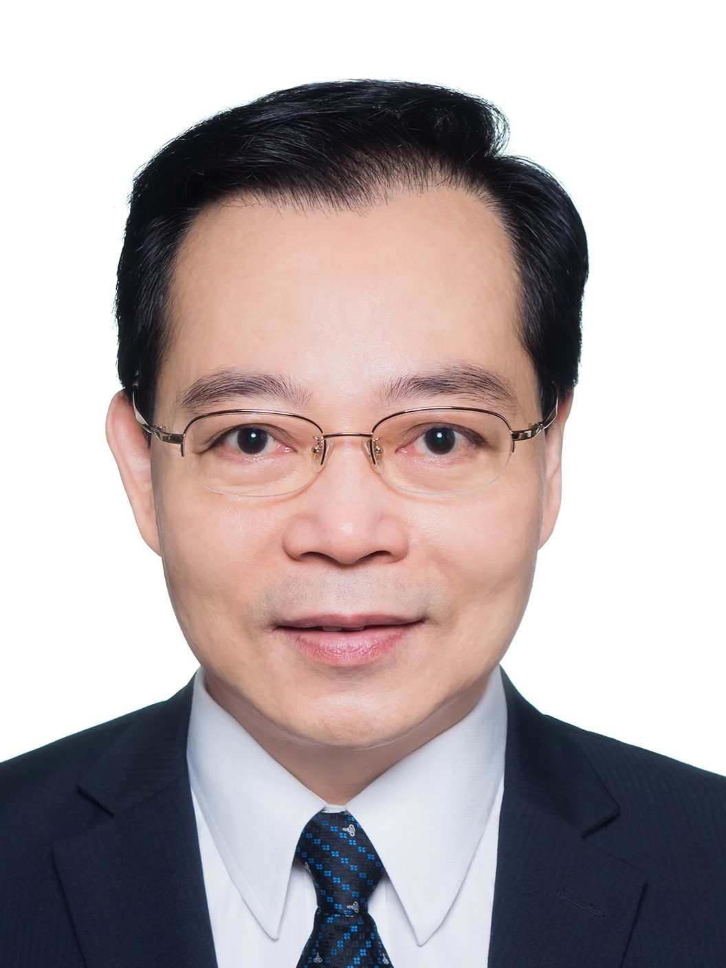 楊浩然議員 副主席 民選議員（寶翠）
